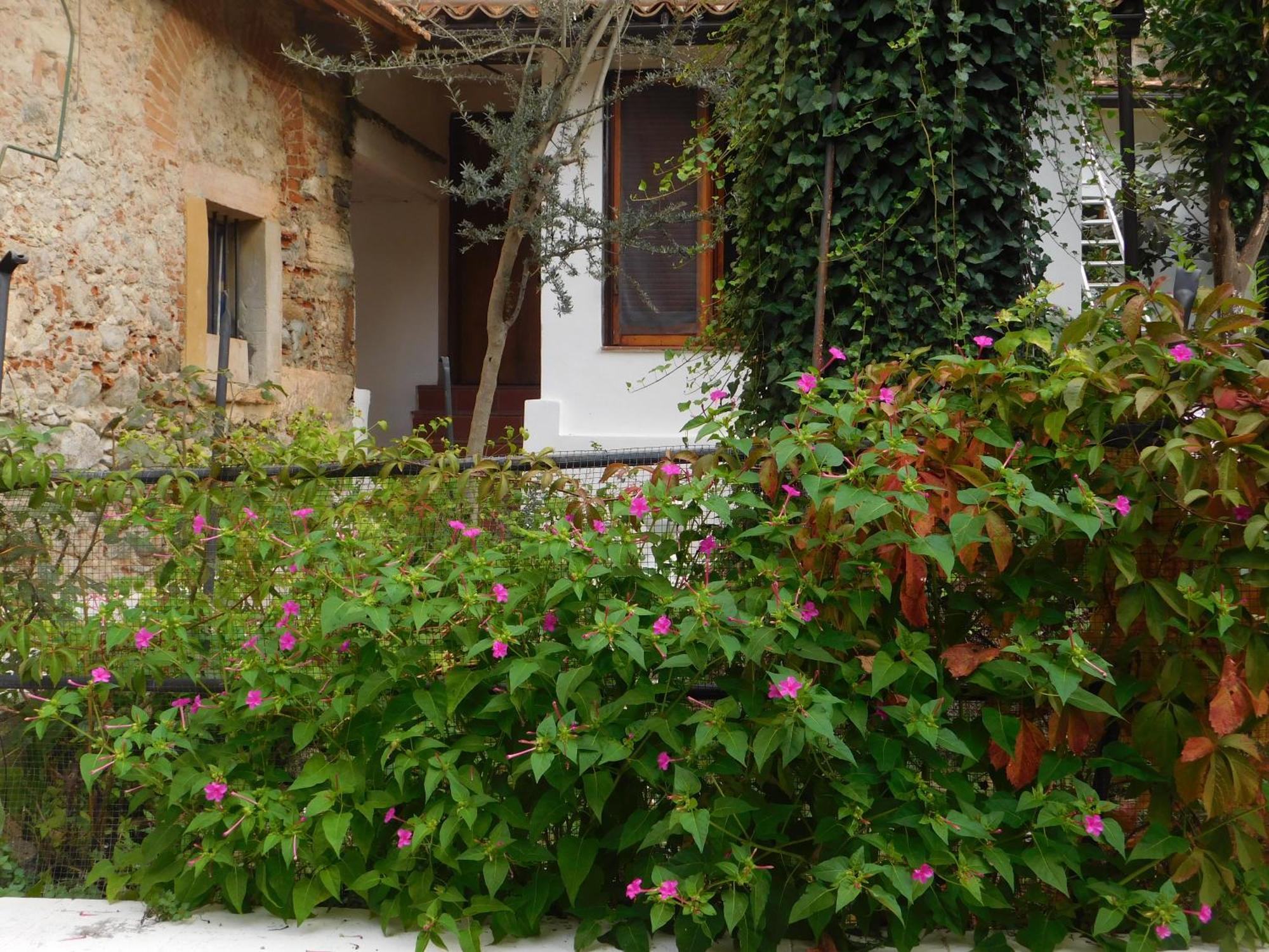 Old Garden Bed & Breakfast Cosenza Exterior photo